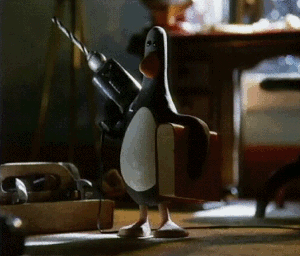 crazy penguin